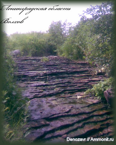 р. Волхов, места находок