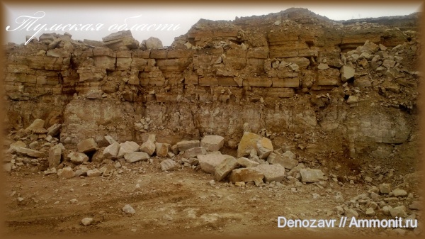 карбон, нижний карбон, Новогуровский карьер