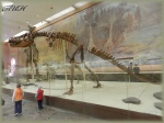 Тарбозавр.
