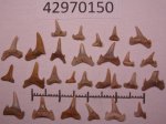 42970150 - ?