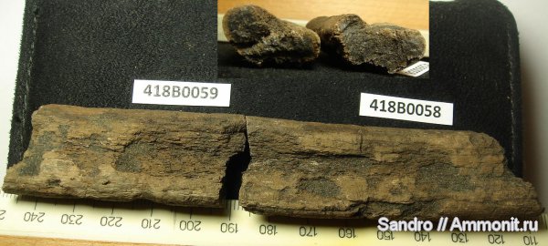 рептилии, Еганово