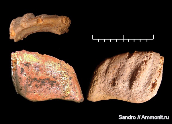 химеры, сошниковая пластина