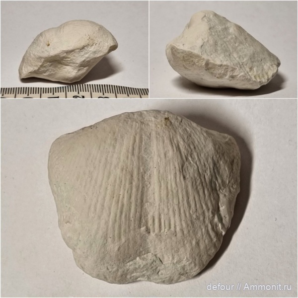 Тверская область