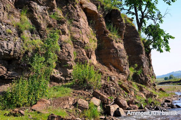 Ааленский ярус.