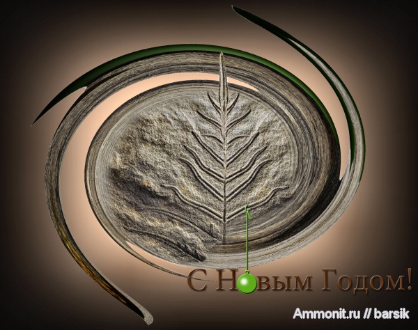 растения, Alethopteris