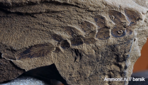 фотосъемка