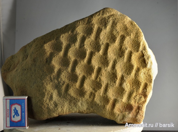 экспедиции