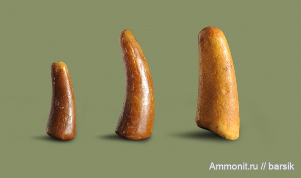 палеоген, крокодилы, зубы, Ростовская область