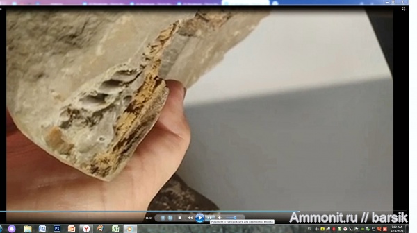 зубы, р.Кубань