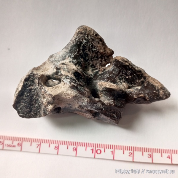 Неопознанные находки