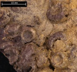 Естественное травление