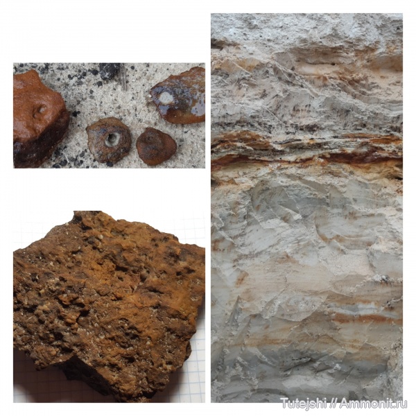 верхний мел, ихнофоссилии