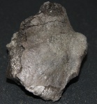 фрагмент одной из костей ихтиозавра в другом ракурсе
