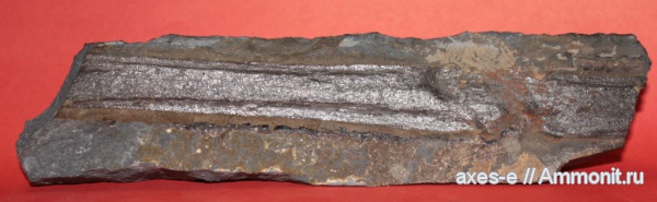 карбон, Краснодарский край