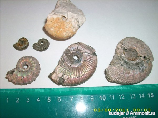 моя коллекция собранная в беларуси