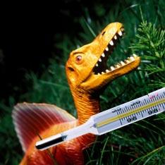 Динозавры нагревались по мере роста