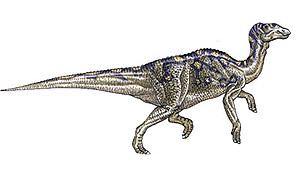 В окрестностях Благовещенска найдены останки гадрозавров