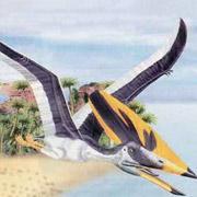 Палеонтологи выяснили назначение гребня птерозавра