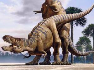 Секс у динозавров - как это было?