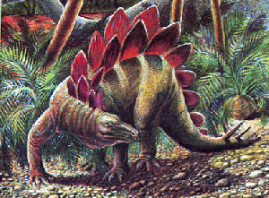 Раскрыт секрет пластин стегозавра