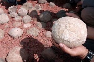 Индийские яйца динозавров