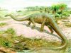 В Китае найден скелет самого крупного азиатского динозавра