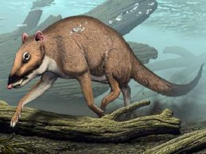 Предки китов - охотники или добыча?