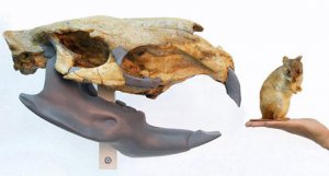 В Уругвае найден череп четырёхметрового грызуна