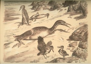 Палеонтологи открыли четыре новых вида птиц