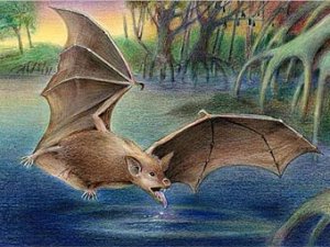 Палеонтологи нашли в Египте гигантскую летучую мышь