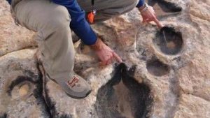 Танцплощадка на водопое