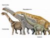Палеонтологи обнаружили кладбище динозавров