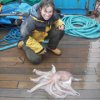 Найден общий предок глубоководных осьминогов