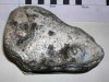 Камень в саду британца оказался ископаемой рыбой