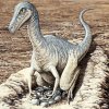 У динозавров на яйцах сидели самцы