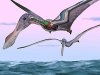 Дыхание птерозавров оказалось похожим на птичье 