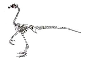 Ученые хотят сделать из курицы динозавра