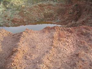 Глина подарила земным животным кислород