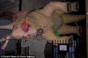 Пьяные английские студенты утащили динозавра из музея