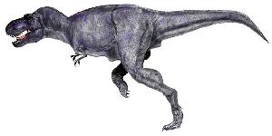 Тираннозавр был падальщиком