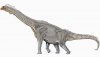Новый динозавр - зауропод, родственник брахиозавра, обнаружен в Китае