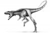 Raptorex kriegsteini - миниатюрный "тираннозавр"