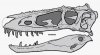 Не все тираннозавриды были похожи на тираннозавра