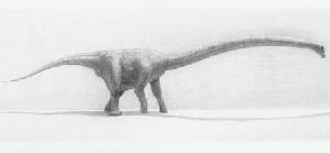 Найден динозавр с самой длинной шеей на свете