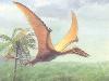 Размеры птерозавров недооценивали