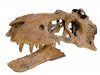 Палеонтологи нашли еще одного родственника тираннозавра - динозавра Bistahieversor sealeyi