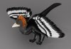 Палеонтологи выяснили, как было окрашено оперение динозавра Anchiornis huxleyi