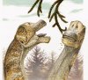 Найден новый вид зауропод - Abydosaurus mcintoshi