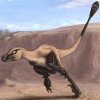 Новый дромеозавр, родственник велоцираптора - Linheraptor exquisitus