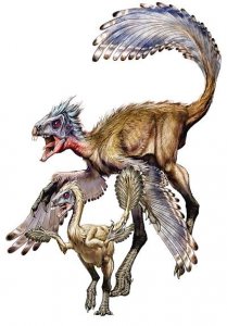 Перьевой покров динозавров мог развиваться иначе, чем у птиц